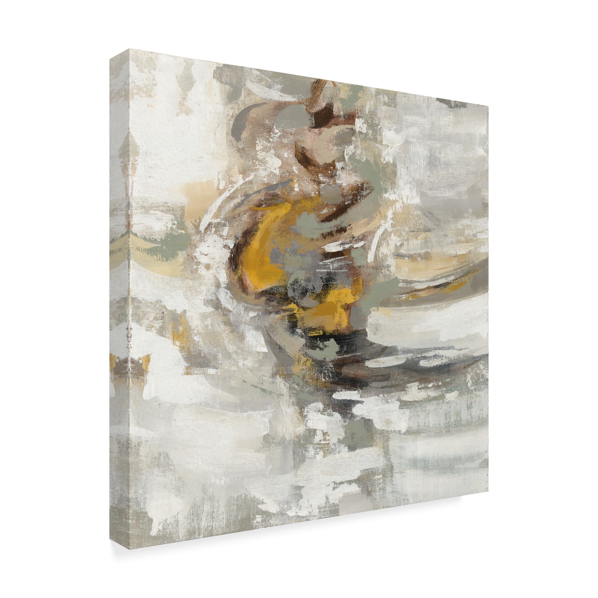 Trademark Fine Art 'Amber Ring' Canvas Art by Silvia Vassileva