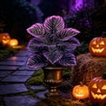 thumbnail image 4 of Artificial Purple Calathea Plant, Home Party Decoration, Purple Leaf Decor Artificial Plant Simulation Pot Bonsai Flower Ornament Hotel Room Desk Decorate((No Flowerpot),23.6"), A, 4 of 7