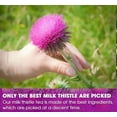 thumbnail image 3 of Organic Milk Thistle Tea Bags, 75 Teabags, 3g/Bag - Supports Liver Function, Liver Detox and Overall Health, Certified, 3 of 4
