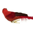 thumbnail image 4 of Northlight 9" Red Cardinal with Long Tail Clip-On Christmas Ornament, 4 of 5