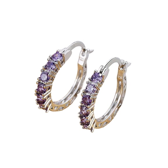 HUANLEDASH Silver Hoop Earrings for Women Cubic Zirconia Hoop Earrings for Mother's Day Anniversary Birthday Gifts