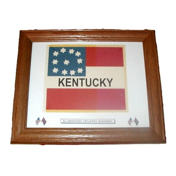 Framed, American Civil War Flag... 1st Kentucky Infantry Regiment. Patriotic Wall Decor, Wall Art.