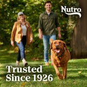 NUTRO NATURAL CHOICE Lamb & Brown Rice, Dry Dog Food for Healthy Weight Adult Dog, 30 lb. Bag