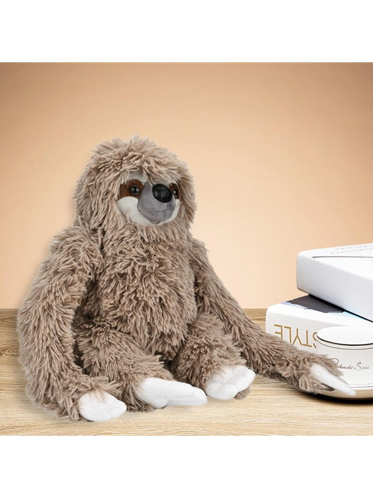 soft sloth