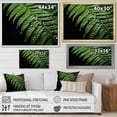 thumbnail image 4 of Designart "Ferns peaceful Resilience" Floral Wall Decor, 4 of 5