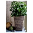 thumbnail image 5 of 22 Inch Avino Tall Square Planter - Decorative Indoor Outdoor Plant Pot for Front Porch, Deck, Patio and Home, Celtic Bronze, 5 of 7