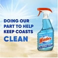 thumbnail image 3 of Windex Original Glass Cleaner (128 fl. oz. Refill + 32 fl. oz. Trigger), 3 of 5