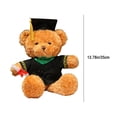 thumbnail image 3 of ​14in PhD Graduation Bear - Pink Faux Velvet Plush w/ Embroidered Regalia, Collectible Scholar Gift Set (Gown, Cap, Diploma, 6+ Safe)​​ Green, 3 of 7