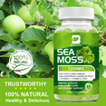 thumbnail image 6 of Irish Sea Moss Gummies, Plus Bladderwrack & Burdock Root, Vitamins C D, Zinc - for Thyroid, Energy, Immune Support, 60 Gummies, 6 of 8