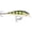 Yellow Perch, variant on Rapala Shallow Shad Rap 09 Fishing Lure 3.5" 3/8oz Bluegill