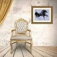 thumbnail image 3 of Wiley, Marta 32x25 Gold Ornate Wood Framed with Double Matting Museum Art Print Titled - Lepa Zena Color IV, 3 of 4