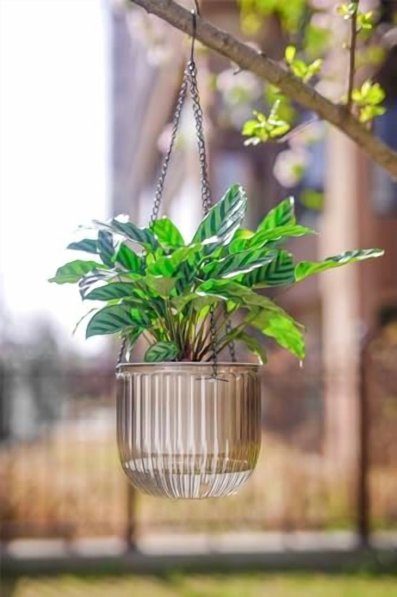 2 Pack Self Watering Hanging Planters Indoor Flower Pots, 6.5 Inch Outdoor Hanging Plant Basket, Hanger with 3Hooks Drainage Holes for Garden Home (Emerald + Gray)