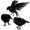 3 PCS, variant on Halloween Crow Decorations, Realistic Handmade Black Feathered Crow Prop, Scary Raven Birds for Indoor Outdoor Haunted House, Standing and Flying Poses, Bendable Feet