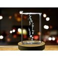 thumbnail image 4 of Maldives 3D Engraved Crystal 3D Engraved Crystal Keepsake/Gift/Decor/Collectible/Souvenir, 4 of 8