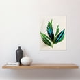 thumbnail image 2 of Tropical Plant Feathery Leaves Green Turquoise Simple Botanical Illustration Unframed Wall Art Print Poster Home Decor Premium, 2 of 4
