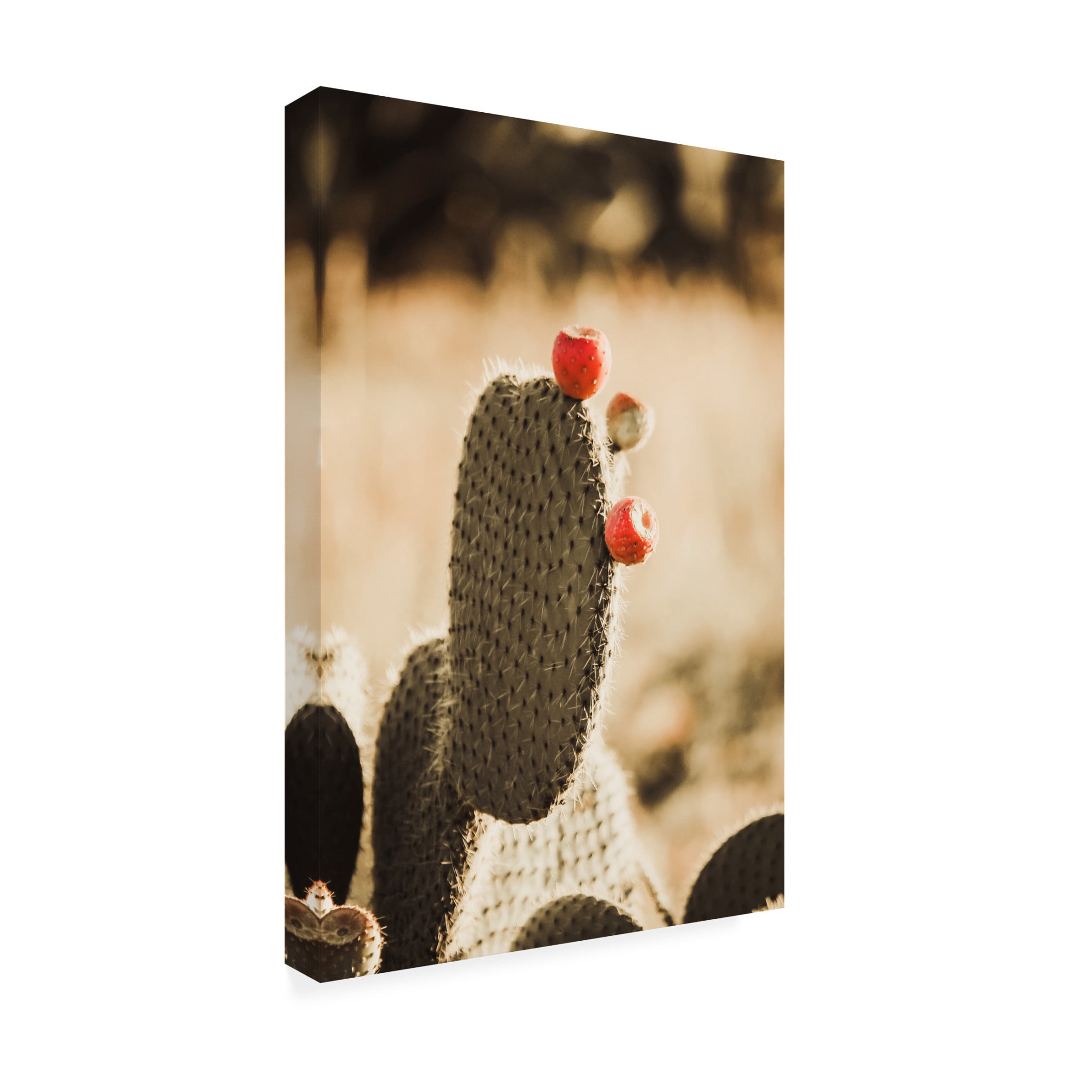 Canvas Wall Art - Krista Broadway 'Habana' Wall Art for Living Room, Bedroom, or Office Décor by Trademark Fine Art - 16 x 24 Inches