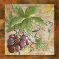 thumbnail image 2 of Great Art Now Wine by Megan Duncanson 2 Piece Print Art Set Each 12"W x 12"H, 2 of 3