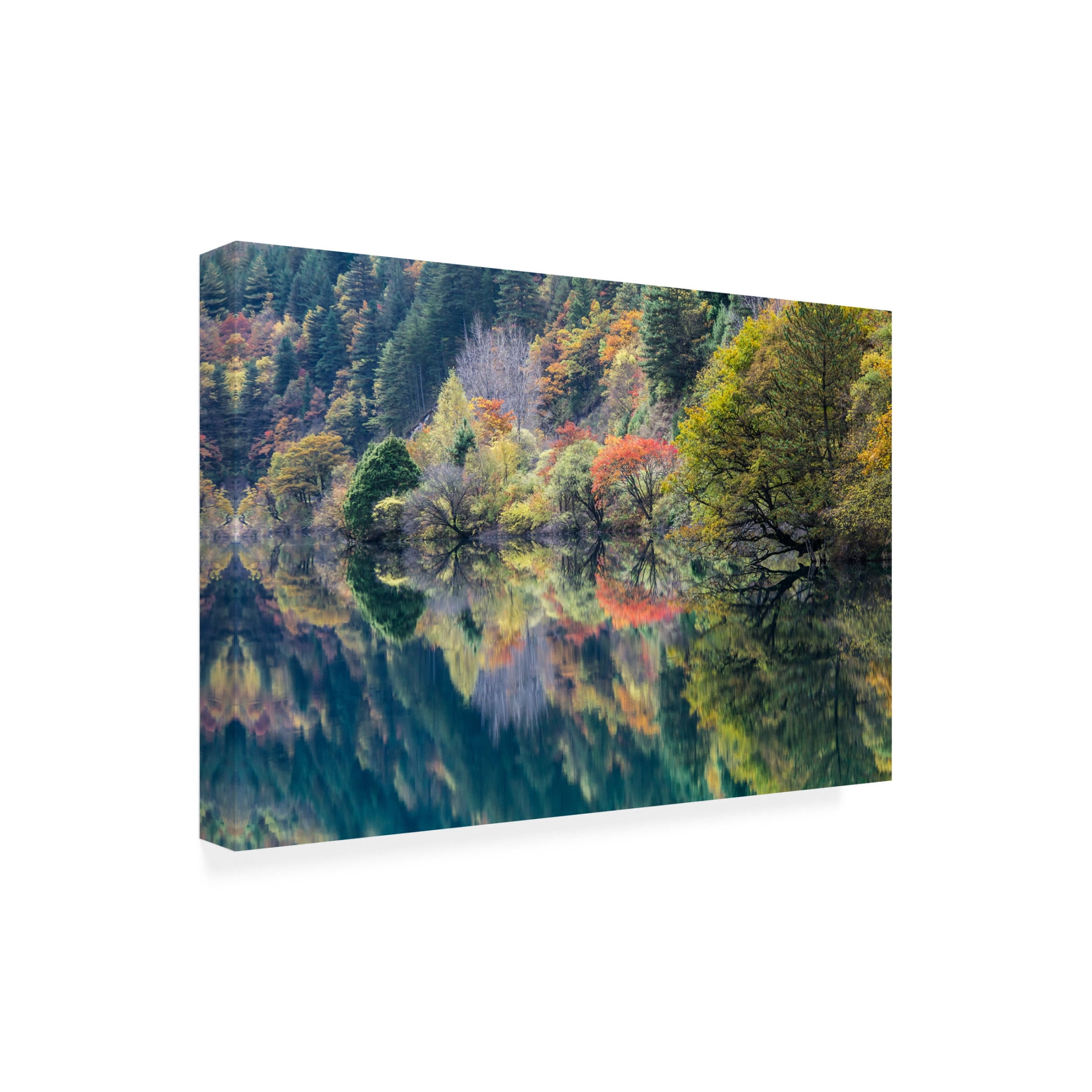 Trademark Fine Art Dorit Berkovits  Double fall Canvas Wall Art