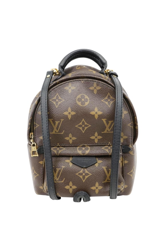 Pre-Owned Louis Vuitton Palm Spring Mini Monogram Canvas Backpack Brown