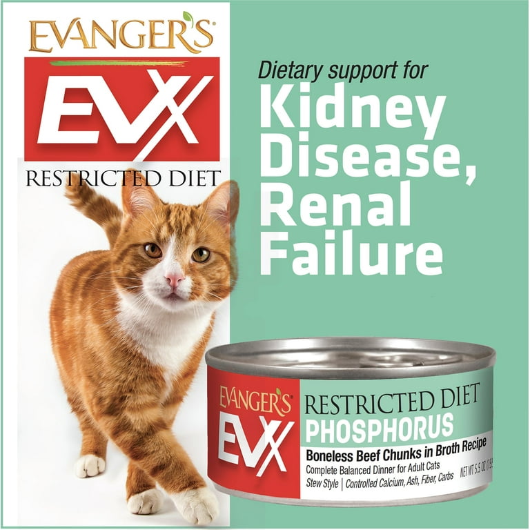 healthy cat wet food Catit Cat Wet Food Recipes Chicken, Kitten 3oz – Petsense main image 0