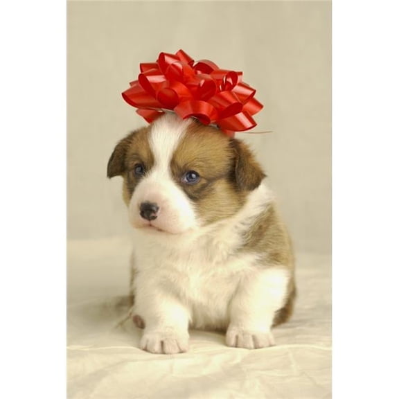 Puppy Wearing A Red Bow Poster Print by Ron Nickel - 24 x 36 - Large