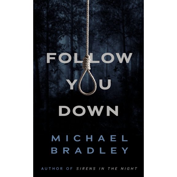 Follow You Down (Paperback)