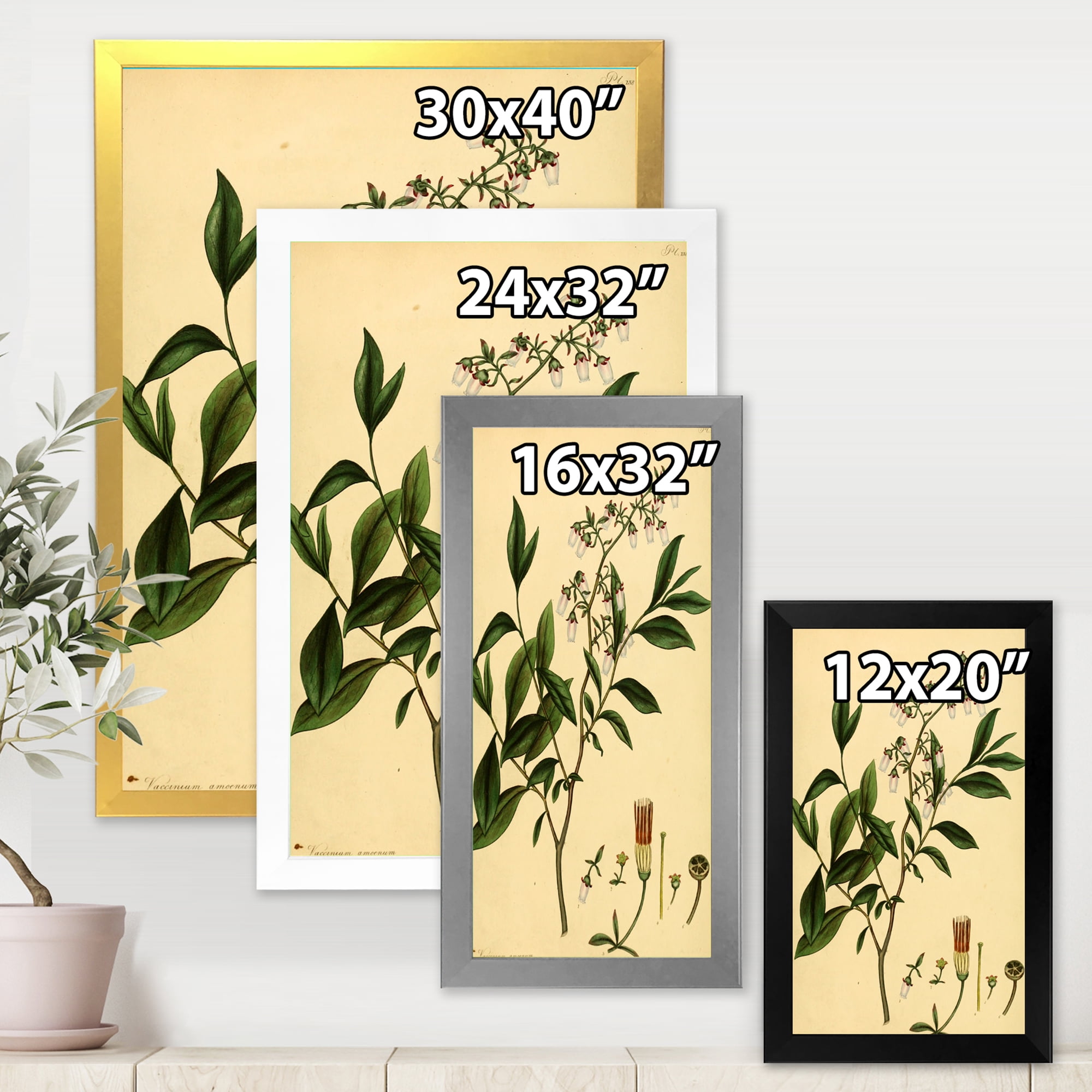 Designart 'Ancient Plant Life V' Traditional Framed Art Print