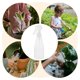 thumbnail image 5 of WORGEOUS 5 uds 200ml botella pulverizadora botellas de plástico pulverizador prensado a mano para jardín Bonsai Microlandschaft blanco, 5 of 8