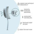 Ninabella Organic Detangling Hair Brush for Women, Men & Children