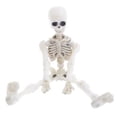 thumbnail image 3 of Fankiway Halloween Movable Skeleton Human Model Skull Full Body Mini Figure Toy , Decorations Skull Full Body Realistic Faux Human Skeleton Skull Decor, 3 of 8