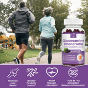 Glucosamine Chondroitin Gummies with MSM & Elderberry – Joint Support & Mobility Complex, 60 Count
