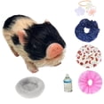 thumbnail image 4 of Muñeca de cerdo de silicona Perfecl miniatura realista color Negro, 4 of 8