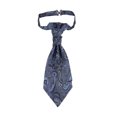 thumbnail image 1 of CSChome Cravate Imprimée pour Hommes - Double Couche Vintage Formelle Cravate en Satin Imprimé, 1 of 7