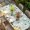 Green, variant on Easter Gnomes Table Cloths for 5 Foot Rectangle Tables, Spring Watercolor Eggs Flower Wood Grain Patio Waterproof Elastic Fitted Tablecloths, Washable Rectangular Table Cover for Camping