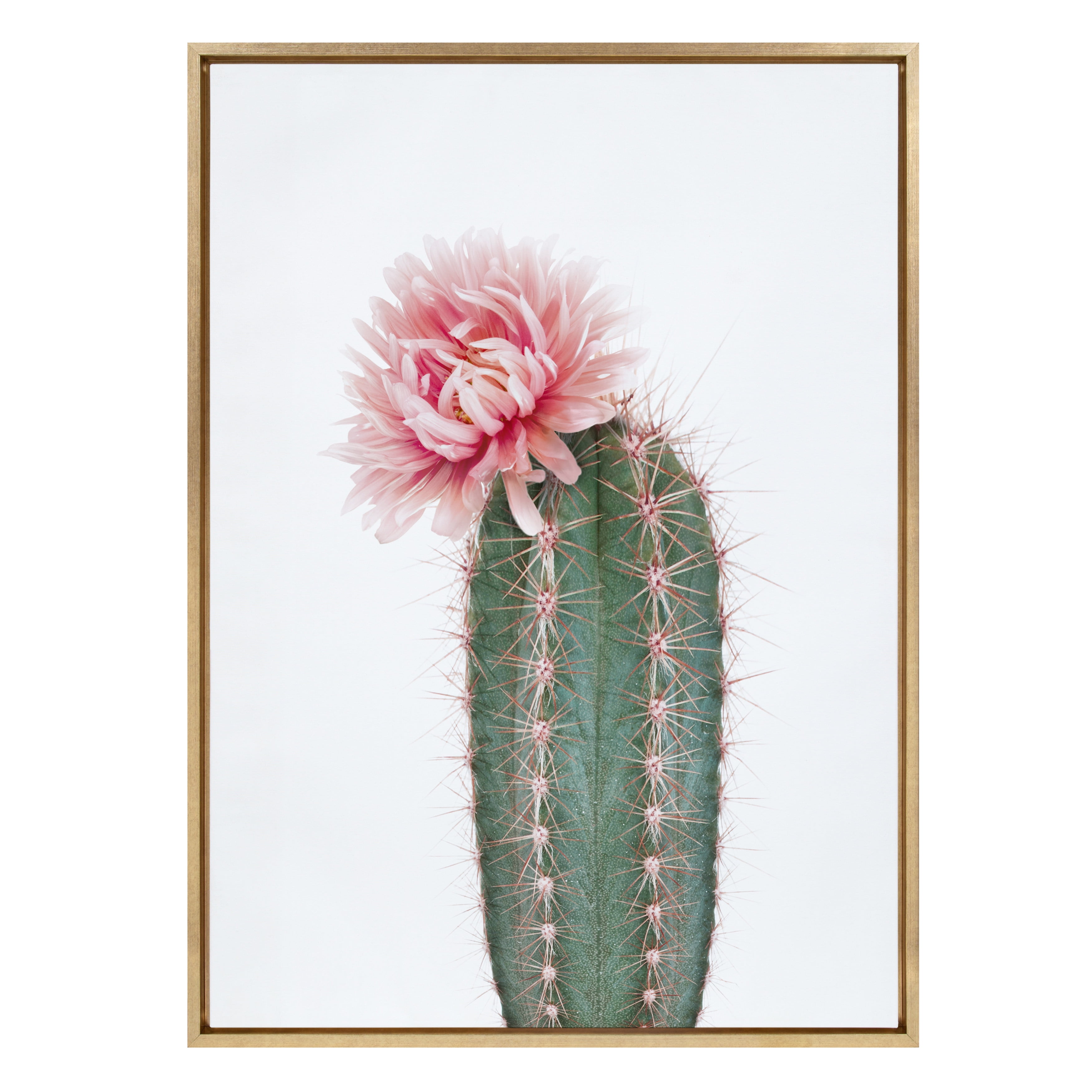 Kate and Laurel Sylvie Pink Cactus Flower Framed Canvas