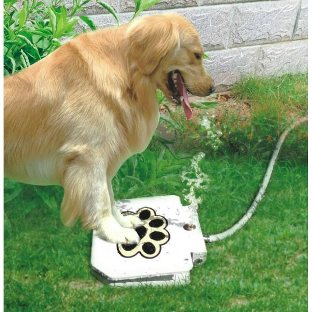 Fineshine Pet Water Fountain Outdoor Dog Step On Brass Valve Dispenser System Clean Fresh Com Fineshine Pet Water Fountain Outdoor, Outdoor Pet Fountain