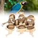 thumbnail image 1 of Juguete De Coco, 1 of 7