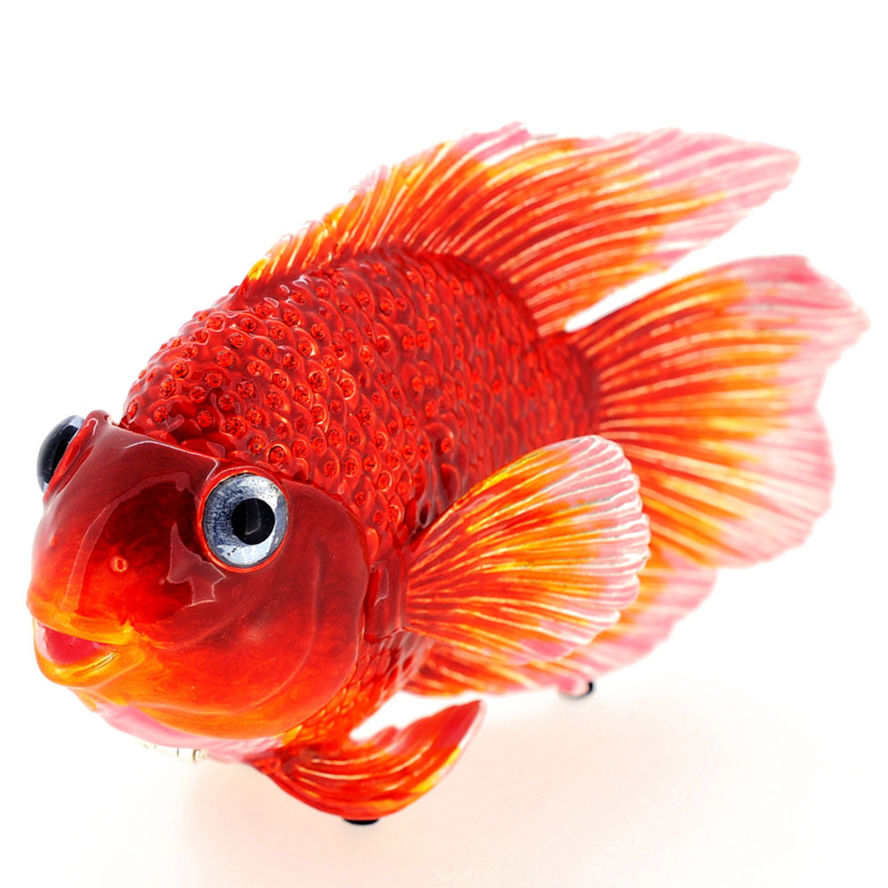 Аквариумные рыбы для детей. Red Parrot Cichlid. Рыбки попугайчики аквариумные. Попугай красный рыбка аквариумная. Разноцветные рыбы.