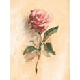 thumbnail image 2 of Harper, Ethan 19x24 White Modern Wood Framed Museum Art Print Titled - Painterly Rose Study II, 2 of 4