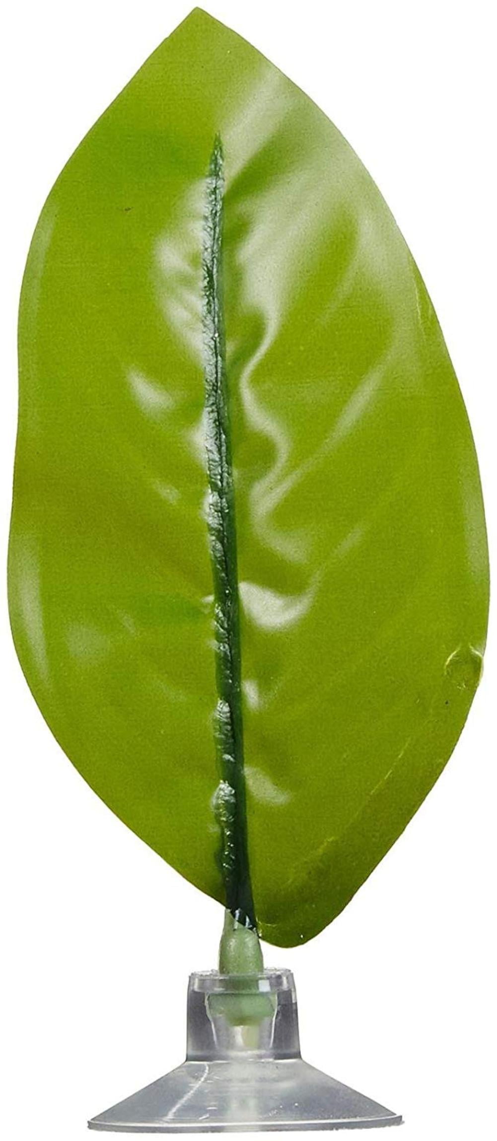 Betta Bunk Leaf Bed, A safe haven on which Bettas can rest. Provides