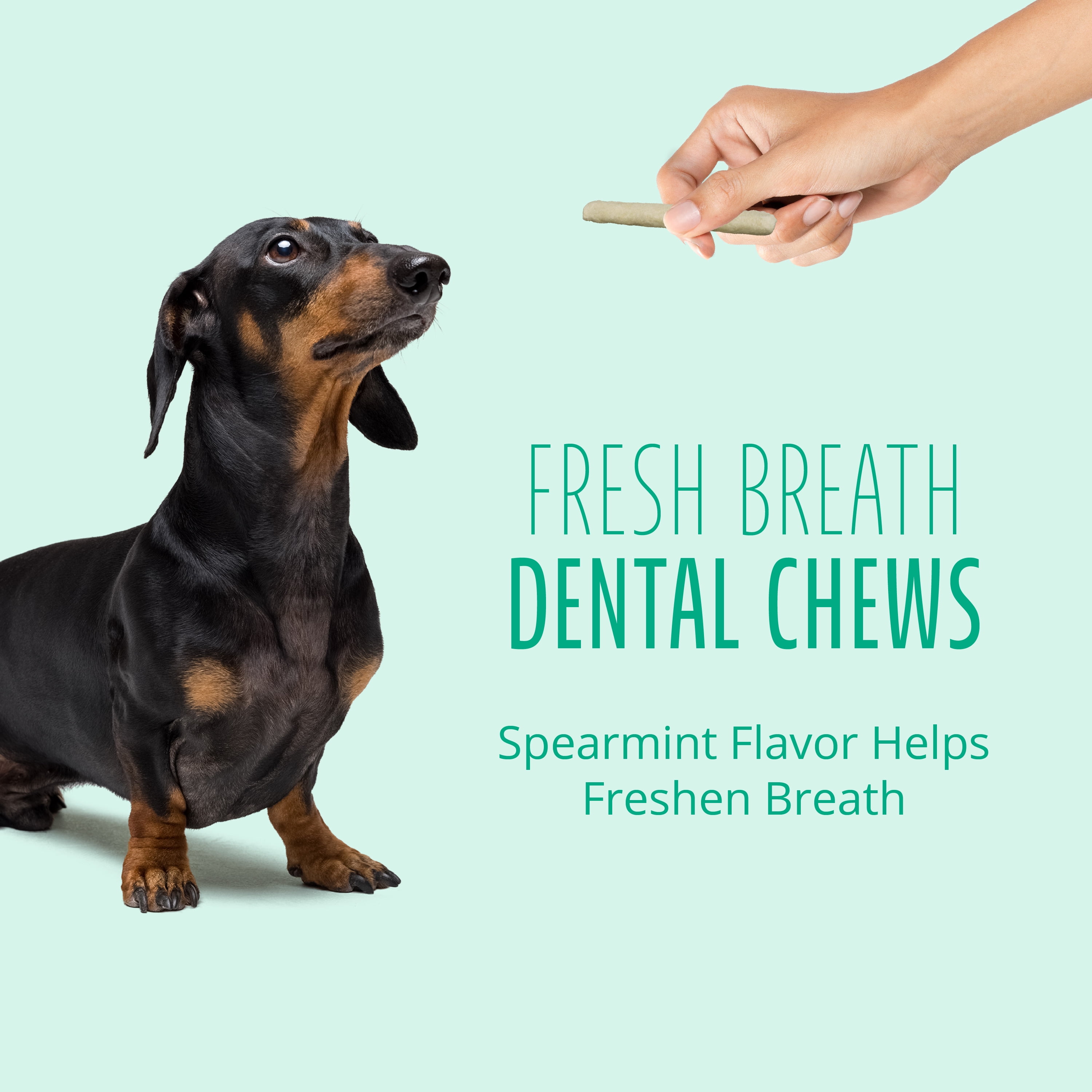 Better Belly Dental Easily Digestible Dog Chews, 10 Count Small Rolls, Fresh Breath Treats