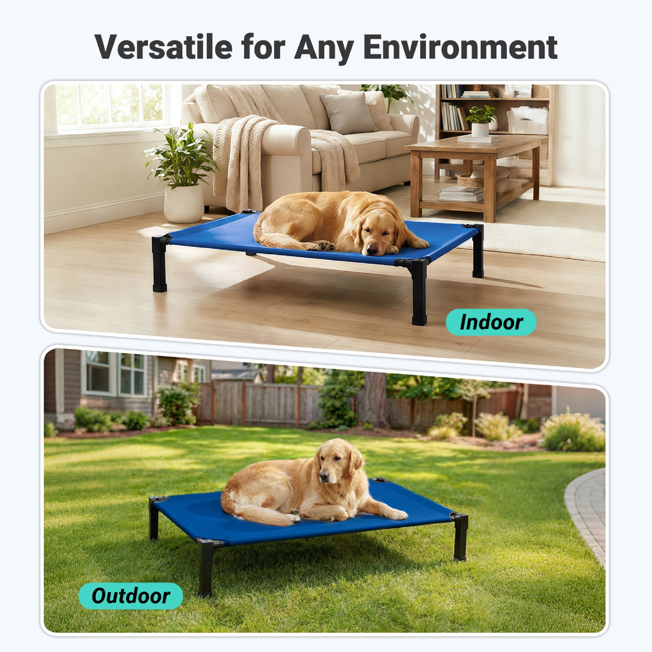 Elevated Dog Bed, Cooling Raised Bed, Portable&No-Slip for Outdoor or Indoor Use, Navy, Large, 51"L x 36"W x 9.3"H