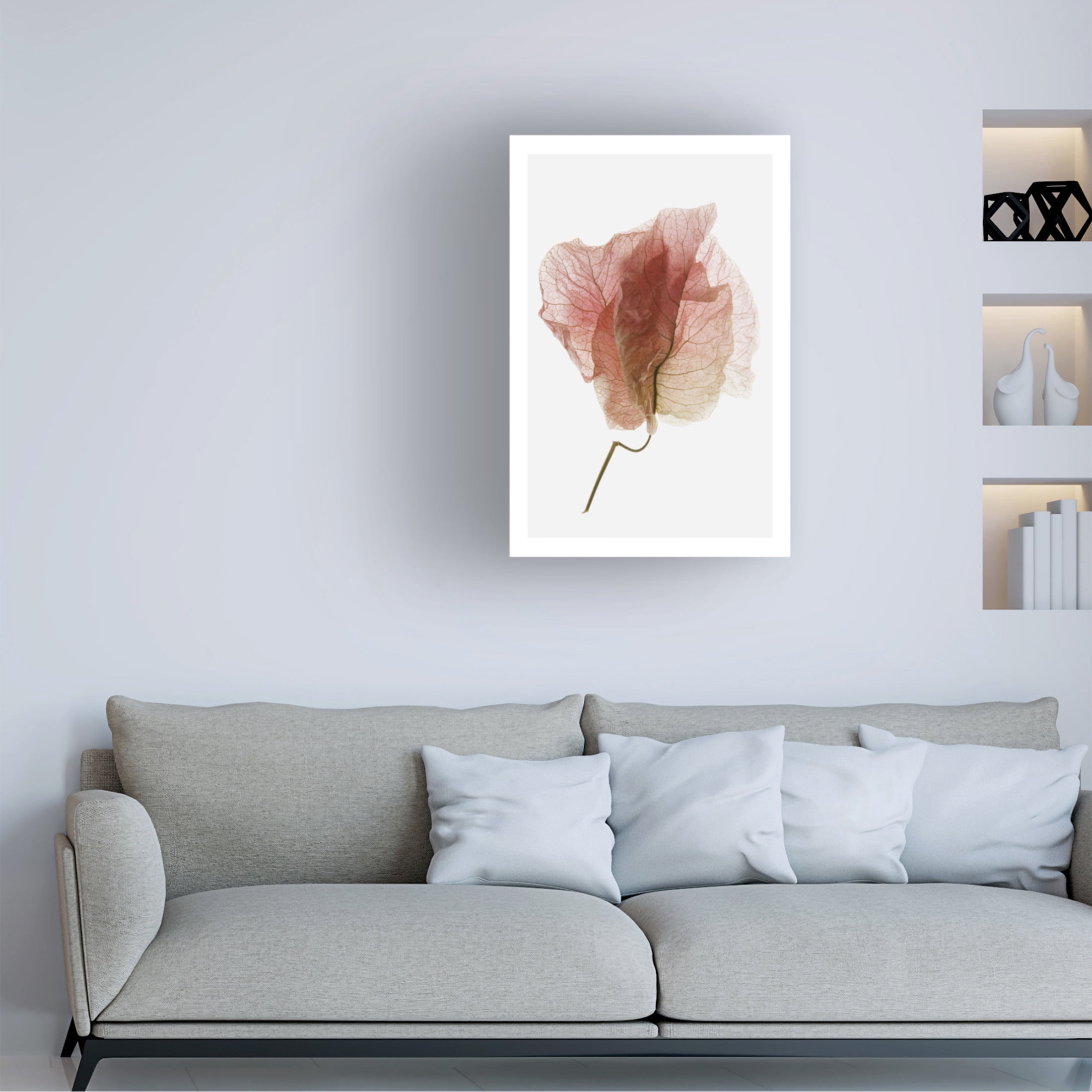 Trademark Fine Art Shot by Clint Bougainvillea Study No4 Canvas Wall Art