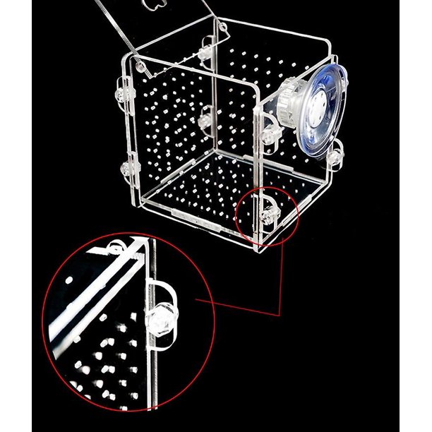 Cuencos de acrílico para acuario, caja de aislamiento para cría de tanques con ventosa para bebés, incubadora de habitaciones, jaula para reptiles Banban