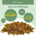 thumbnail image 3 of Proilgrubs Premium Dried Mealworm  10LB - 60%+ High Protein Natural Treat for Reptiles (Bearded Dragons, Leopard Geckos) & Backyard Chickens - Non-GMO, No Fillers, 3 of 10
