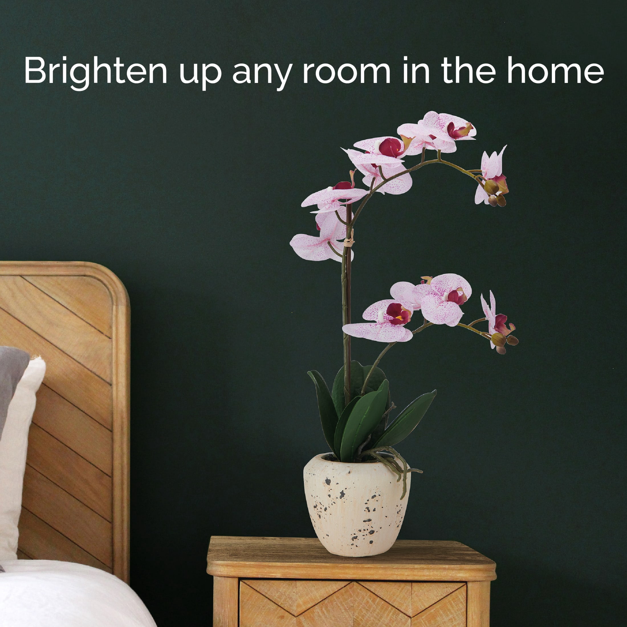 Home Accents 22-inch Artificial Real Touch Phalaenopsis Orchid in Cement Pot, Pink