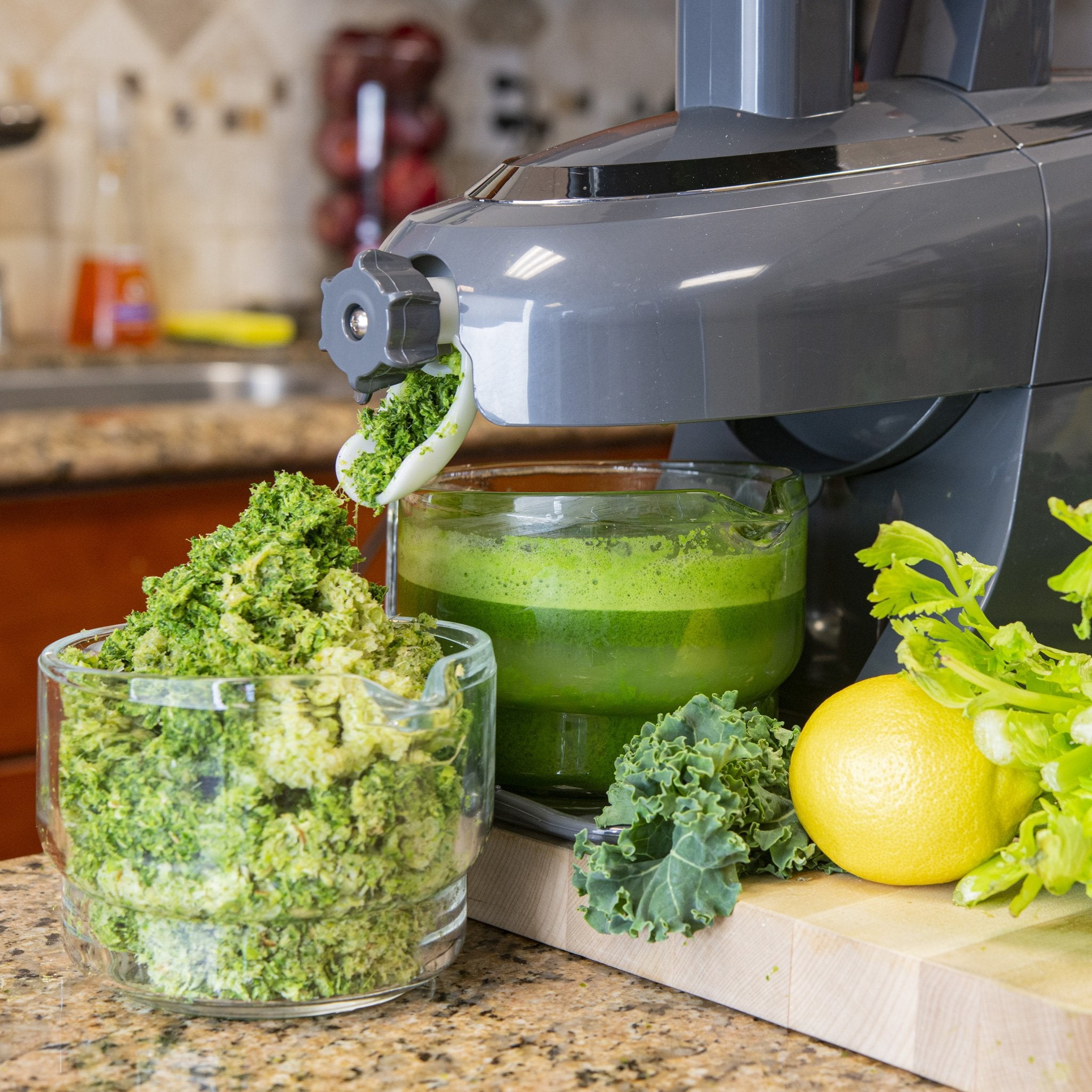 Greenstar® Pro All Stainless Steel Jumbo Twin Gear Commercial Slow Juicer