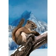 thumbnail image 2 of America Forever Squirrel Garden Flag Double Sided Vertical Decorative 12.5 x 18 inches for Outdoor, Yard, Porch Snowfall Happy Holiday Let it Snow Welcome Winter Mountain Garden Flag, 2 of 5
