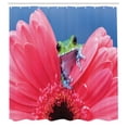 thumbnail image 3 of Ambesonne Nature Shower Curtain, Frog on Gabera Flower, 69"Wx84"L, Pink Green Blue, 3 of 5