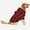 Red, variant on Plaid Flannel Dog Coat for Medium & Large Dogs, Warm Hooded Jacket for Fall & Winter